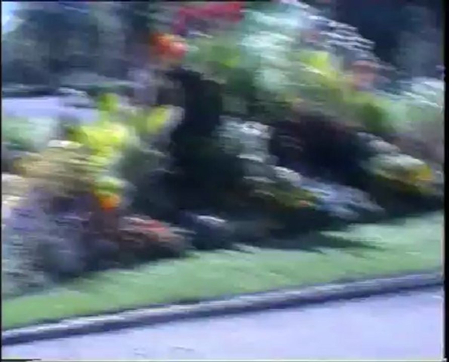 1994