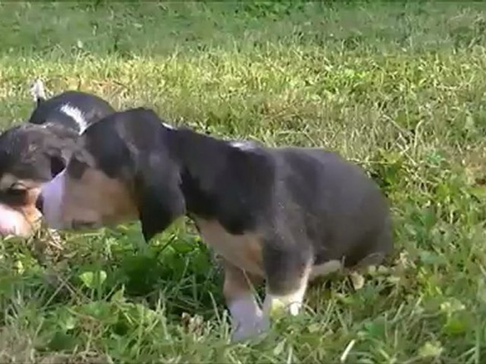 Petite promenade entre filles