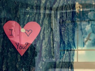 Korda György-Egy régi szerelem