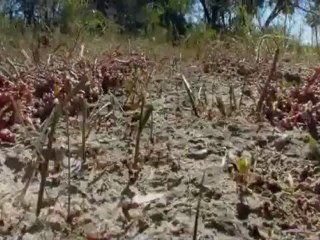 Giovvanie & Armand feat. BigDj - Second World (Original Mix)