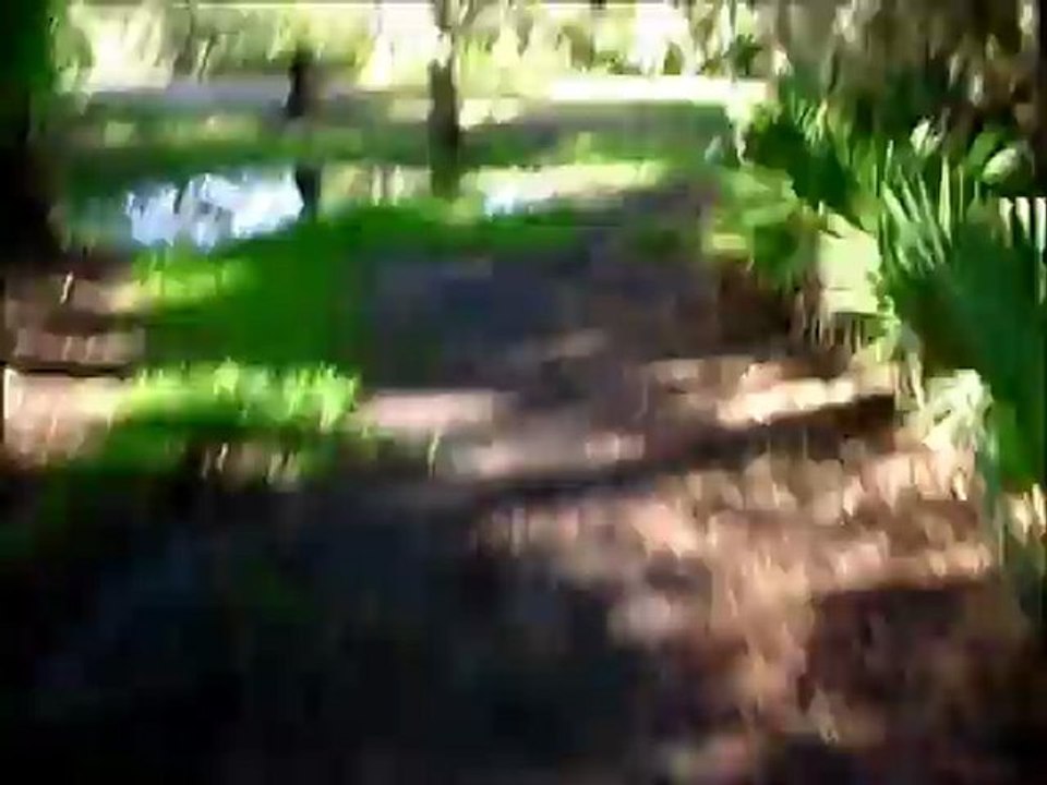 Princess Place 5k Course