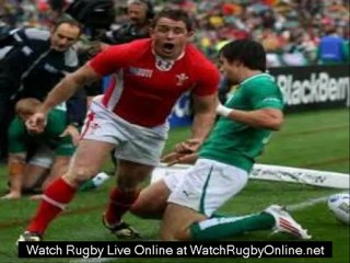 watch live rugby Bledisloe Cup streaming