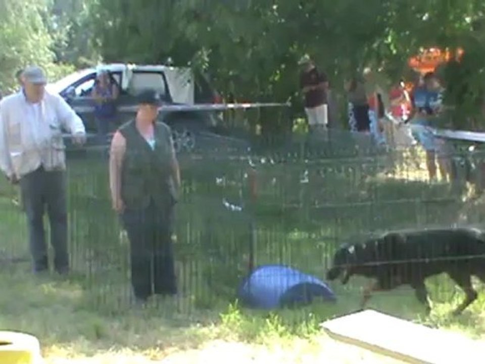 vidéo de P1  Leval à Estinnes