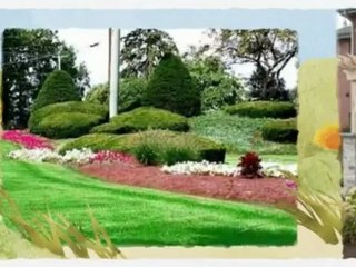 Roys Hauling and Landscaping - (314) 520-6499