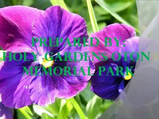 Bernardo C. Gallo Treasured moment