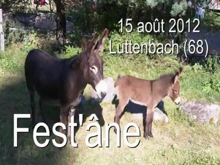 Fest'âne le festival de l'âne à Luttenbach 2012 en Alsace