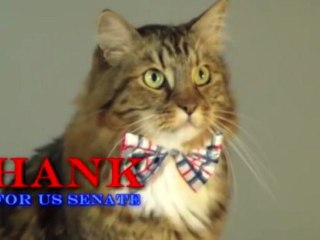 Hank, un chat candidat au Sénat américain