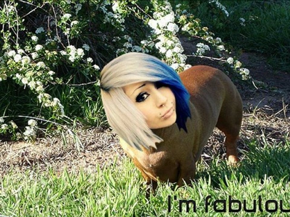 Verena Schizophrenia sucks