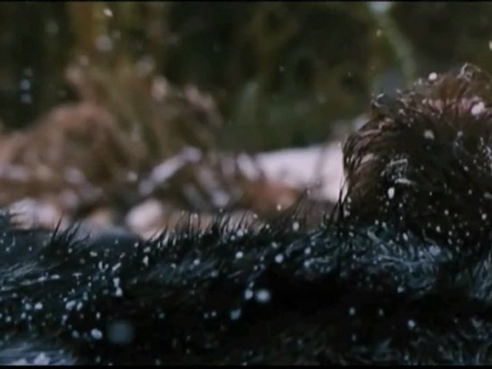 The Grey - After Credits Scene (Scène après crédit de fin) [VO|HD]