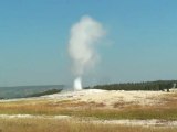 Yellowstone Old Faithful