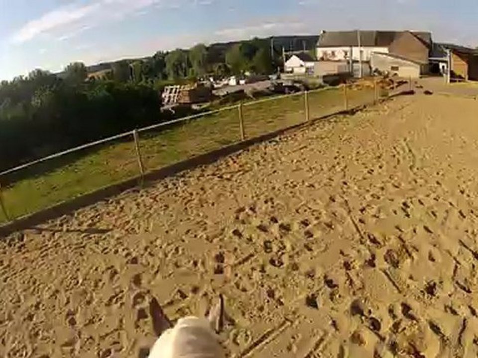 GoPro au trot
