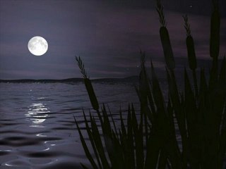 Şarkılar geçti aramızdan - Ahmet Karakayan