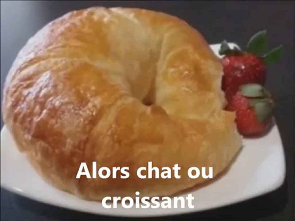 Chat ou croissant?