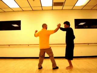 Yang 88 San Sau form, A and B, first 8 movements practice loop