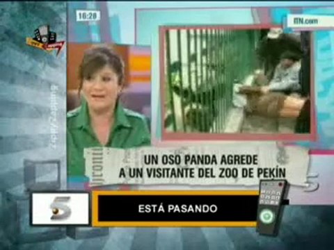 Especial Zippy Zapping