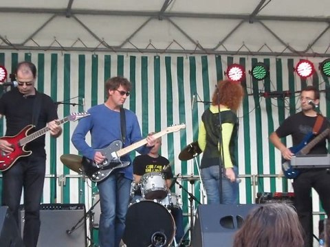 Teddy Picker (Arctic Monkeys)