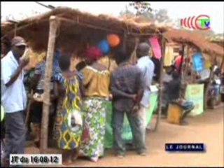Foire agricole dite du terroir de la Bouenza