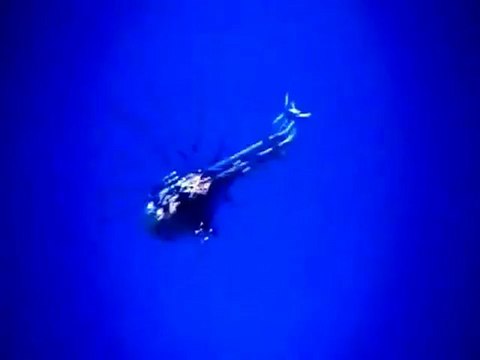 فري برس درعا خربة غزالة تحليق الطيران المروحــي فوق البلدة 16 8 2012