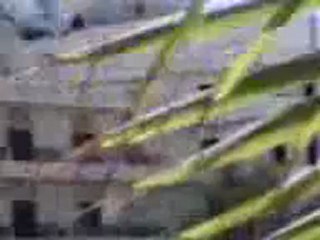 فري برس  حلب - استراد الحمدانية __ خطيرجدا يظهر حجم الدمار 16-8-2012