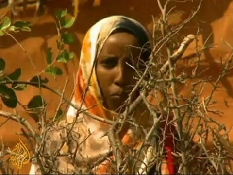 Dadaab camp recieves more refugees