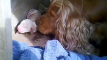 VID_20120613_123239