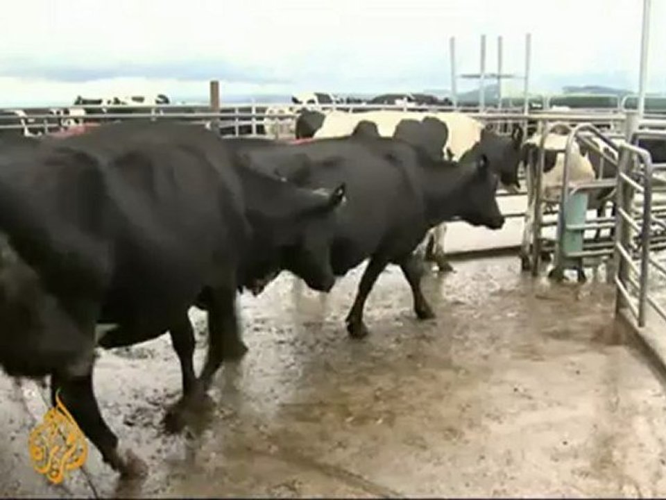 China to buy New Zealand farmland