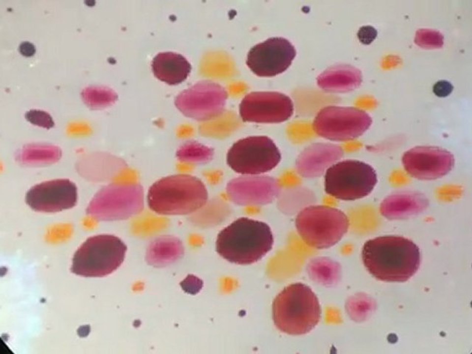 Insane in the Chromatophores