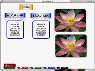 ÇOĞUL EKİ - PLURAL SUFFIXES