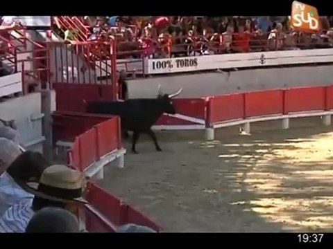 JT des Fêtes Votives 201 : Lansargues