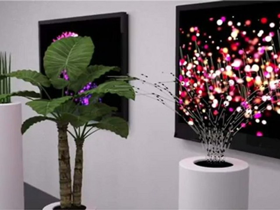 Disney Research Botanicus Interacticus