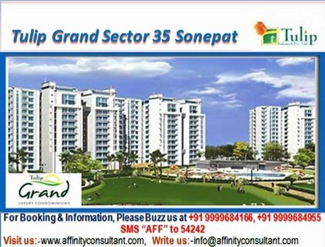 Tulip Grand apartments Sector 35 Sonepat @ 09999684166