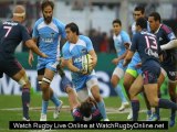 watch Argentina vs South Africa Rugby streaming live