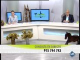 A toda Salud: Consejos con el doctor Vázquez - 04/06/12