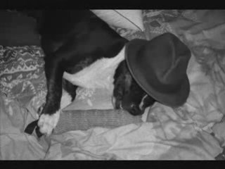 Byron et les temps modernes