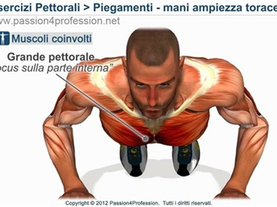 Piegamenti braccia, FLESSIONI, esercizi piegamenti pettorali - mani ampiezza torace