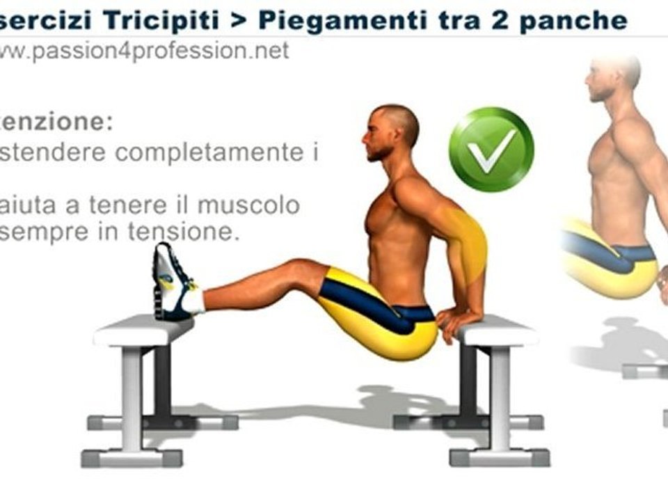 Piegamenti tra 2 panche
