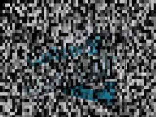 Buy Twitter Followers - Become Popular!