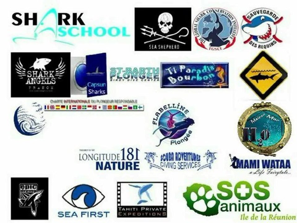 Clip de Sensibilisation sur les Dangers liés aux Requins...