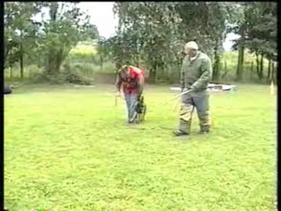Hogan à 12 semaines