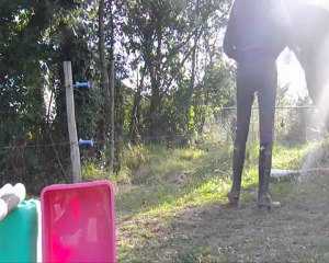 Pas espagnol Tornado (août 2012)