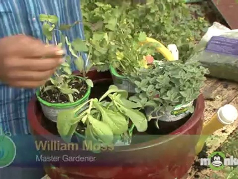 How To Pot Container Herbs