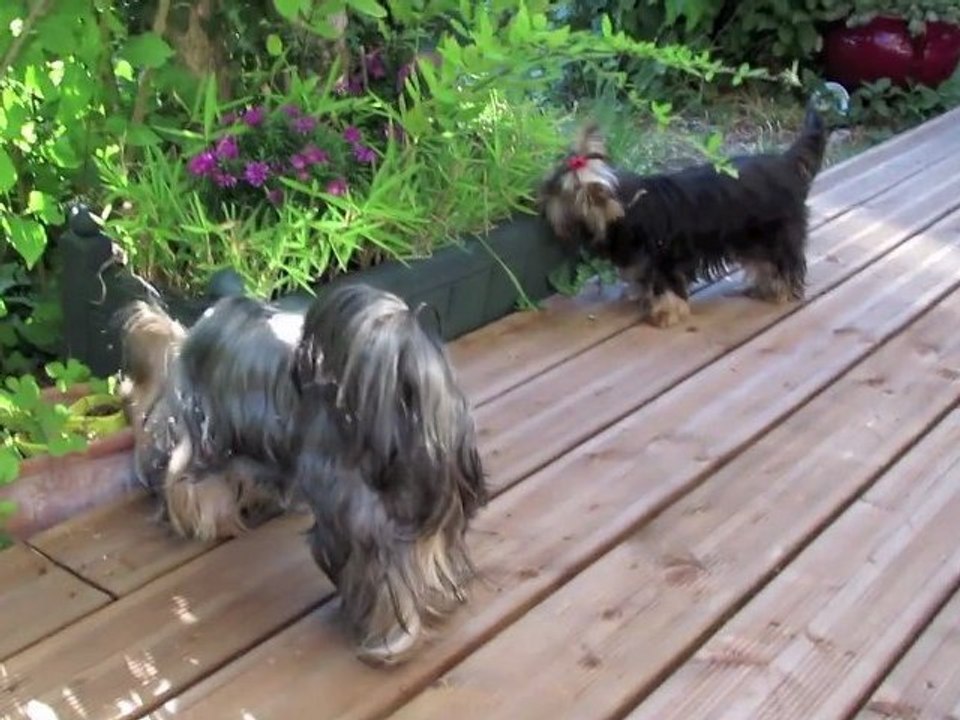 Gin et Boy - 09.08.2012 - Terrasse