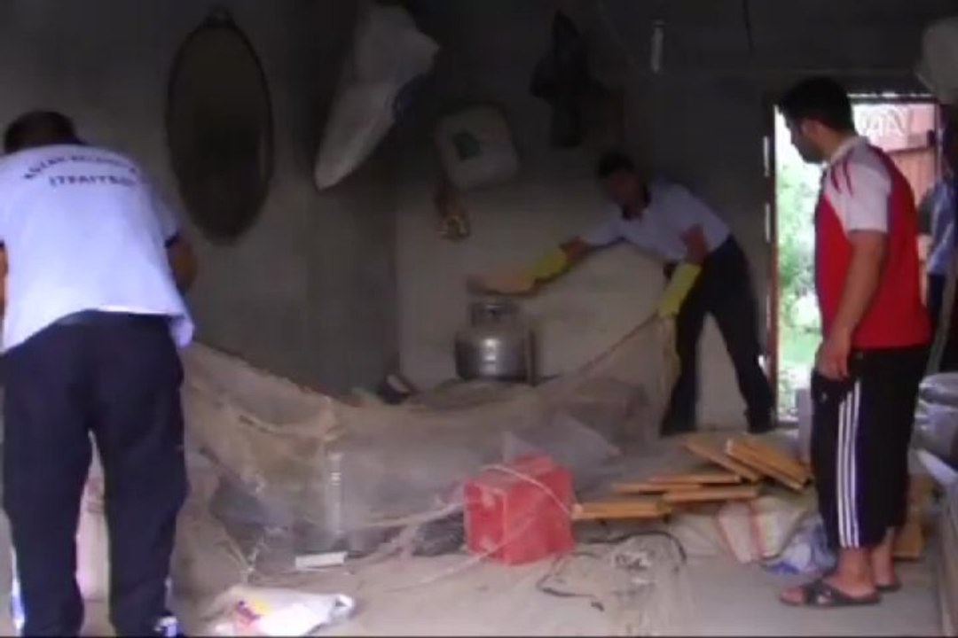 Adana'da yılan kovalamacası