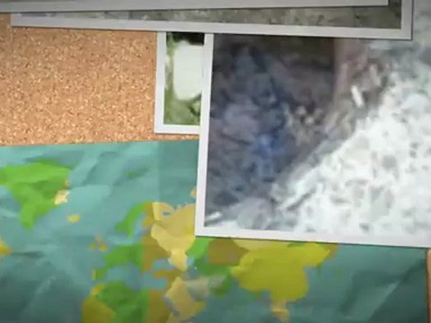 Drain Busters Plumbing (812) 288-4373