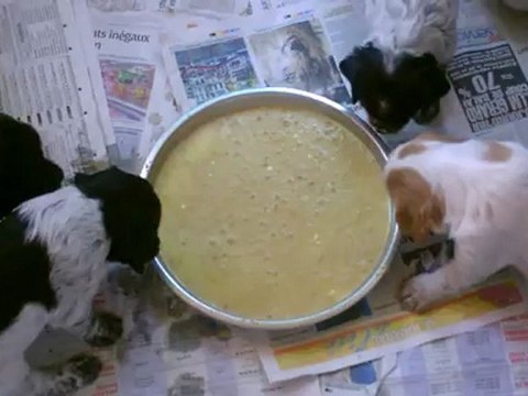 Premiére bouillie pour les bébés, 5 semaines!!!!!!!!!!