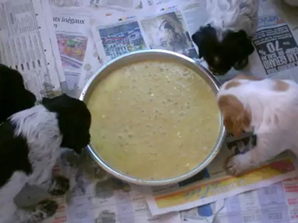 Premiére bouillie pour les bébés, 5 semaines!!!!!!!!!!