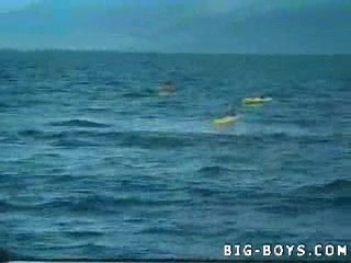 kayakistes surpris par 1 orque