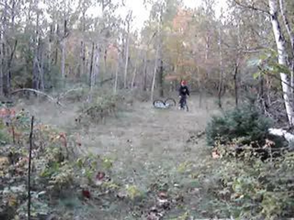 par dessus le tronc!