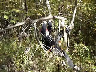 Casse noisette(pratique)