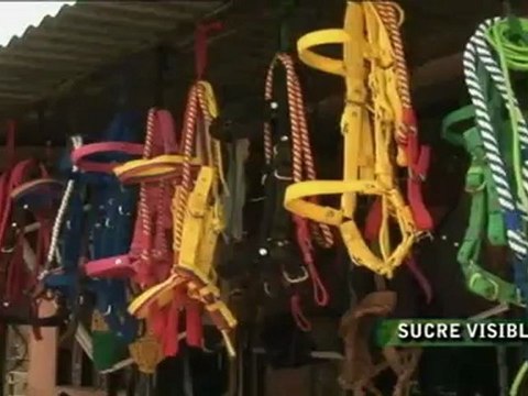 Marzo 28 SUCRE VISIBLE DESDE SAMPUES